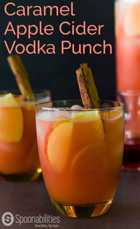Caramel vodka adds complexity to mixed drinks. Caramel Apple Cider Vodka Punch | Recipe | Cider cocktails ...
