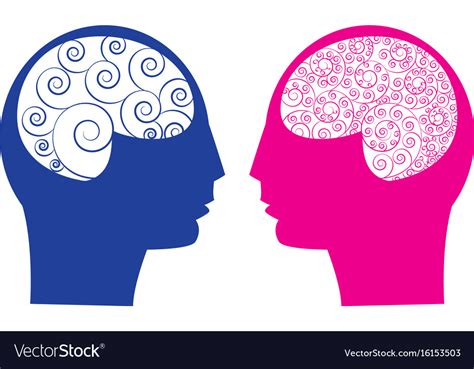 Abstract Male Vs Female Brain Royalty Free Vector Image