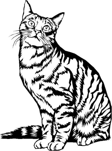 Chaton Animaux Coloriages à imprimer en Coloriage chat Coloriage chaton Coloriage