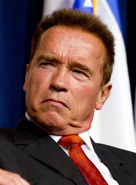 Filearnold Schwarzenegger 2 2012 Wikimedia Commons
