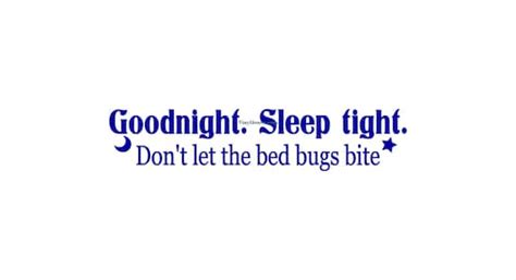 Items Similar To Goodnight Sleep Tight Dont Let The Bed Bugs Bite