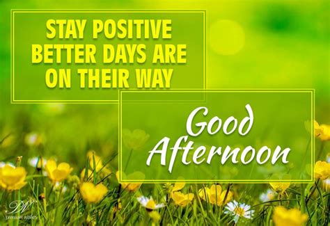 Stay Positive Better Days Are On Their Way Good Afternoon Good