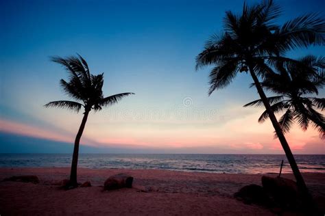 Silhouette Of Tropical Beach During Sunset Twilight Stock Photo