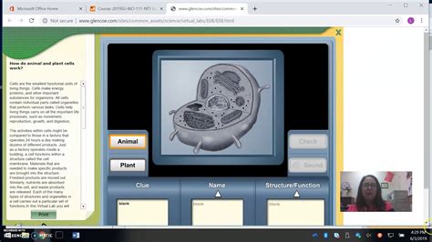 We did not find results for: demo for virtual lab on plant and animal cells - YouTube