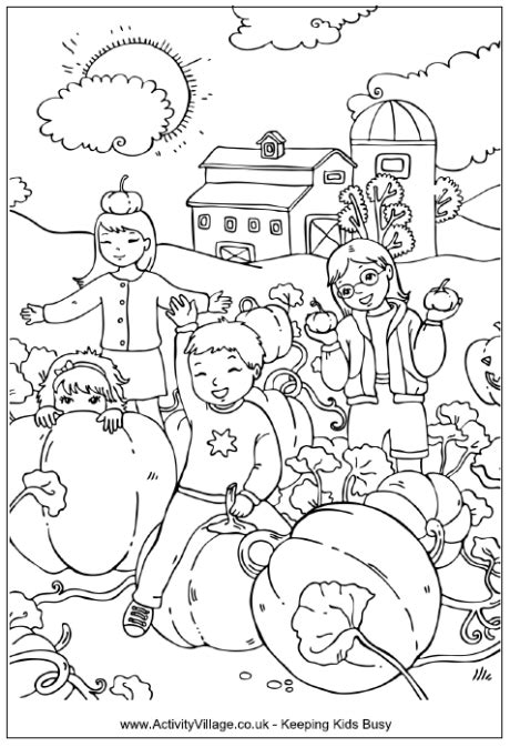 For boys and girls kids and adults teenagers and toddlers. Pumpkin Patch Colouring Page | Pumpkin coloring pages ...