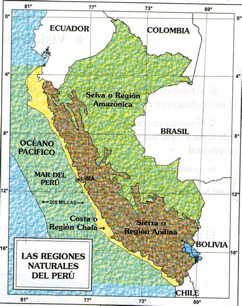 Triptico Ocho Regiones Naturales Del Peru Ocho Region Vrogue Co