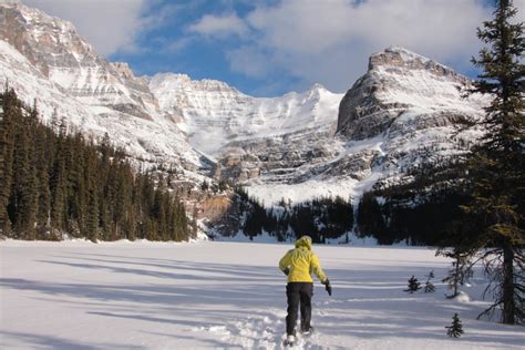 Visiting Lake Ohara In Winter