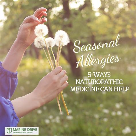 5 Ways Naturopathic Medicine Can Help Seasonal Allergies Marine Drive