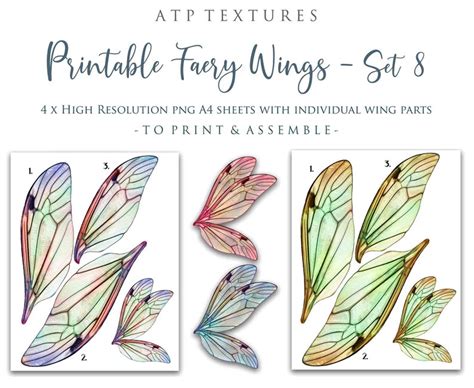 Printable Fairy Wings Set 8 Pattern Template Clipart Png Etsy