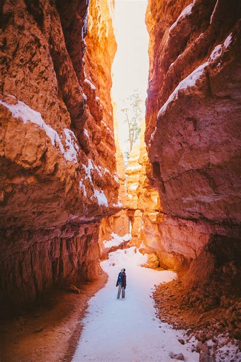 25 Must Do Hikes In Southern Utah Bryce Canyon National Park Scenic