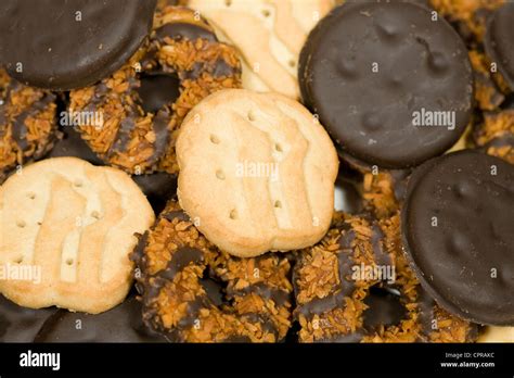 Thin Mints Trefoils And Samoas Girl Scout Cookies Stock Photo Alamy