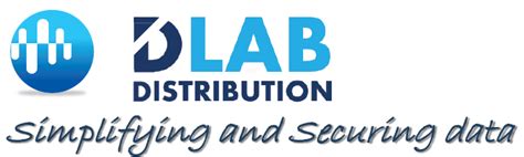 Dlab Distribution Simplifying And Securing Data Simplifying And