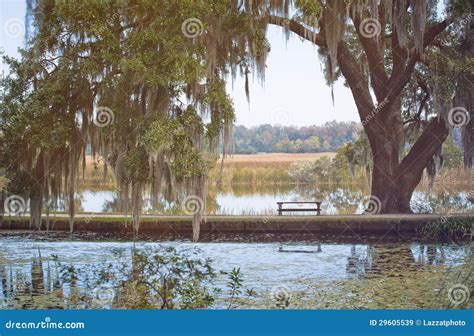 Serenity stock image. Image of carolina, water, travel - 29605539