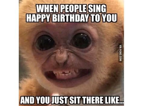 But thanks to texting, email, and social media, wishing someone a happy birthday couldn't be easier and it still is heartfelt. The 18 Best Happy Birthday Memes to Brighten Someone's Day