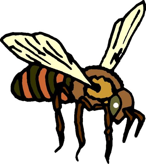 Honey Bee Cartoons Clipart Best