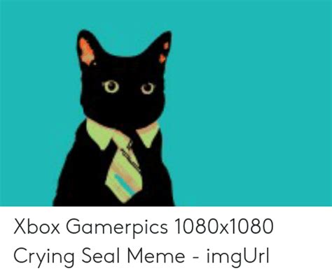 Xbox Gamerpics 1080x1080 Crying Seal Meme Imgurl Crying Meme On Meme