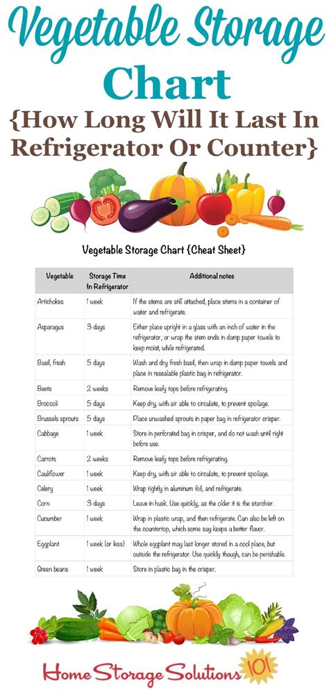 Fresh Vegetable Storage Tips For Your Refrigerator And Counter Includes