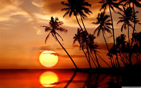 Sunset Background Tropical Paradise To Get More Templates About