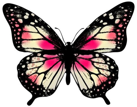 Check out our butterfly clipart selection for the very best in unique or custom, handmade pieces from our digital shops. Owl butterfly clipart 20 free Cliparts | Download images ...