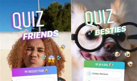 Instagram Quiz How To Use Quiz Stickers For Multiple Choice Questions