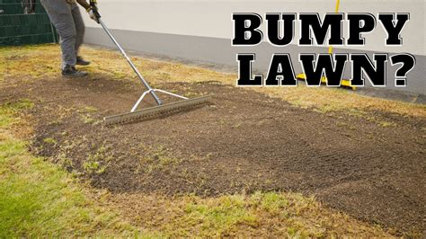 Level Your Lawn With Soil For Fall Overseeding Youtube