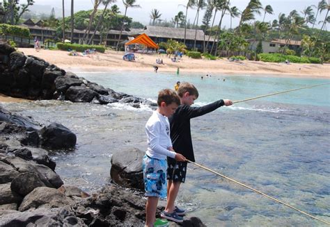 Top 10 Maui Beach Hotels For Your Hawaii Vacation Aloha Stoked Maui