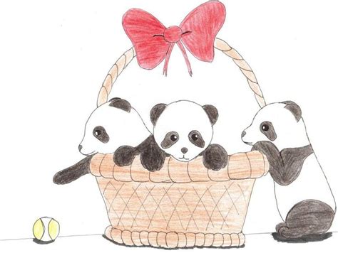 31 Cute Anime Panda Wallpaper Top Inspiration