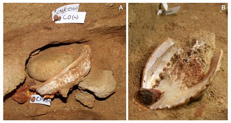 Blombos Cave And The Creativity Of Early Modern Humans