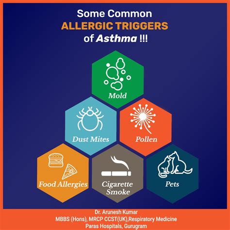 Dr Arunesh Kumar Pulmonologist Some Common Allergic Triggers Of Asthma