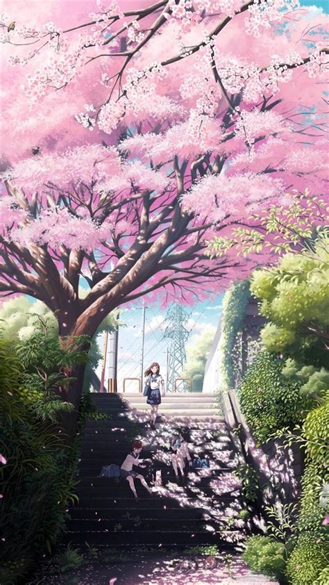 Anime Cherry Blossom Iphone Wallpaper Teknograpic