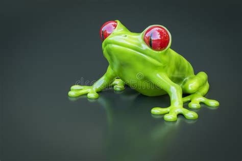 Frog With Big Eyes Stock Illustration Illustration Of Frog 13376159
