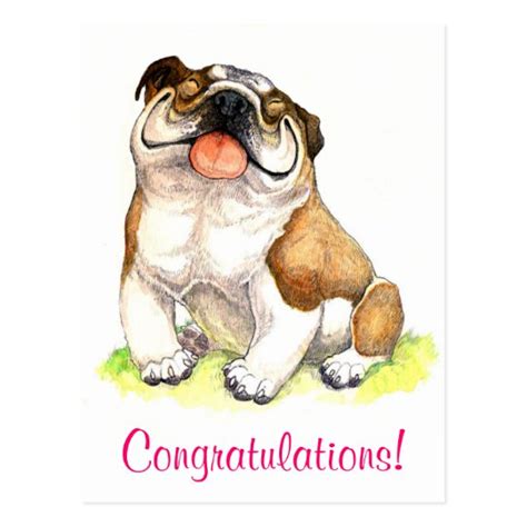 Congratulations Bulldog Puppy Greeting Postcard