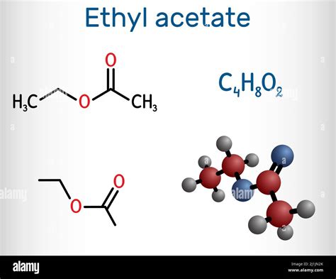 Ethyl Ethanoate Stock Vector Images Alamy