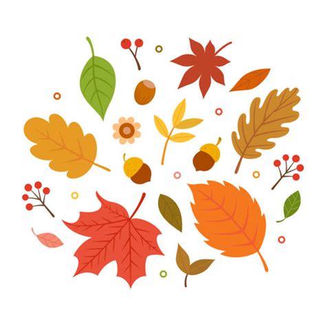 Autumn Leaves Illustrations Royalty Free Vector Graphics And Clip Art