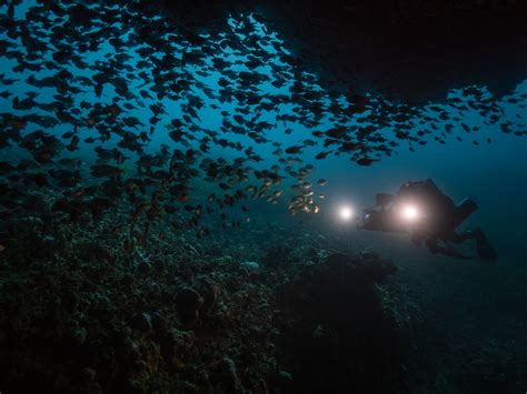 Shipwreck Hunters Australia Dive Prep Deep Cave Diving Oceanographic