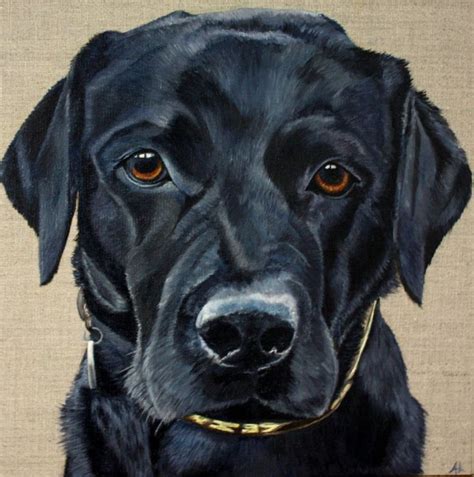 How To Paint A Black Labrador With Andrea Abraham Animal Paintings