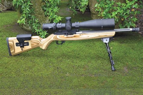 Ruger Custom Shop 1022 Competition Rifle At 300 Yards Shooting Times