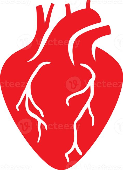 Human Heart Png Illustration 8509712 Png