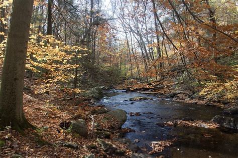 The Best Fall Foliage Hikes In New Jersey Average Peak Color In Nj Is
