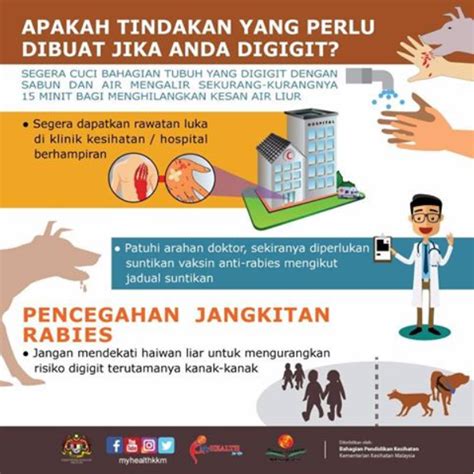 Karangan Kesan Demam Denggi Gejala Dan Langkah Pencegahan Denggi