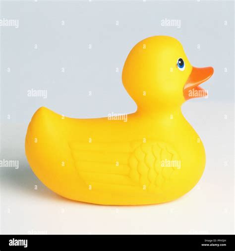 Yellow Rubber Duck Side View Stock Photo Alamy