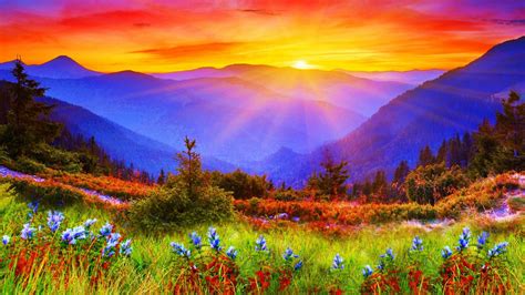 A Rainbow Of Colors Wallpaper And Background Image 1366x768