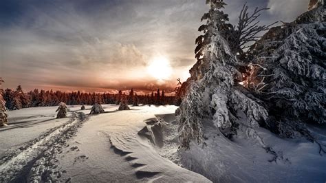 Landscape Covered With White Snow During Sunrise Hd Winter Wallpapers
