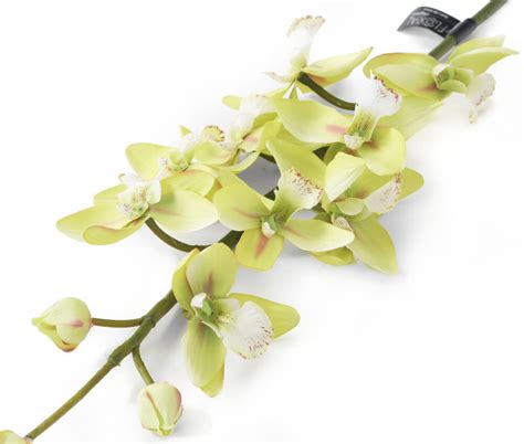 Artificial 84cm Single Stem Green Cymbidium Orchid Artplants