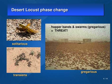 Ppt Meteorological Information For Locust Control Operations