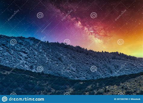 mesmerizing shot of a beautiful dense forest under the milky way stock image image of