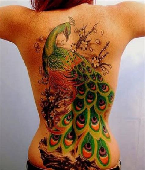 55 vibrant peacock tattoo designs art and design