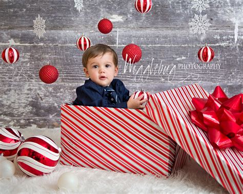 Christmas Mini Sessions Dekalb Sycamore Geneva Rockford Il