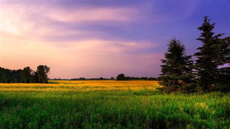 Check spelling or type a new query. Free download Ultra Hd Wallpapers 8k Nature Ultra hd 4k wa ...