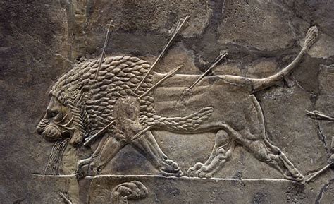 Britishmuseumassyrianlionhuntreliefdyinglion Asiatic Lion Wikipedia